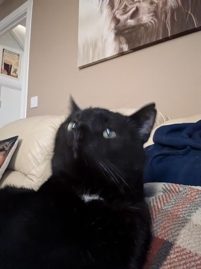 10 ChatGPT Prompts That Will Supercharge Your Productivity